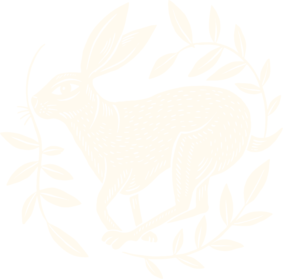 Harry Hare's